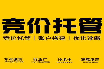某企业SEM竞价员如何应对竞争的案例研究